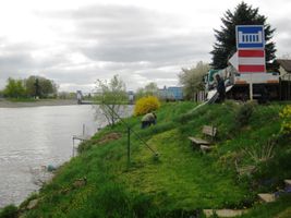 Labe 20 pod elektrárnou v Hradištku-vysazování kaprů 20.4.16 (1).JPG